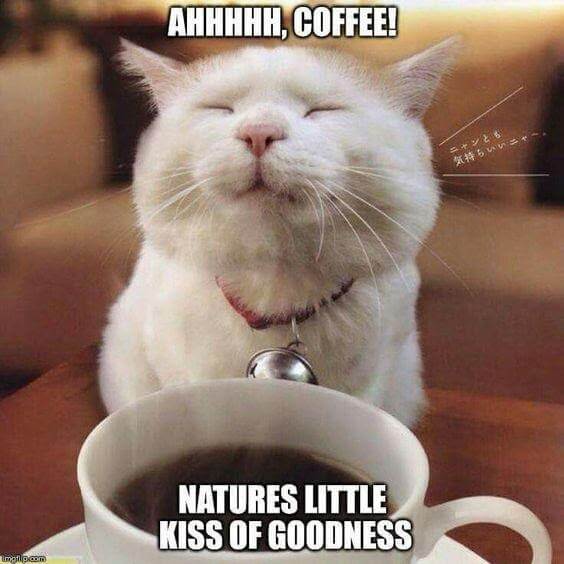 70 Best Coffee Memes To Light Up Your Day