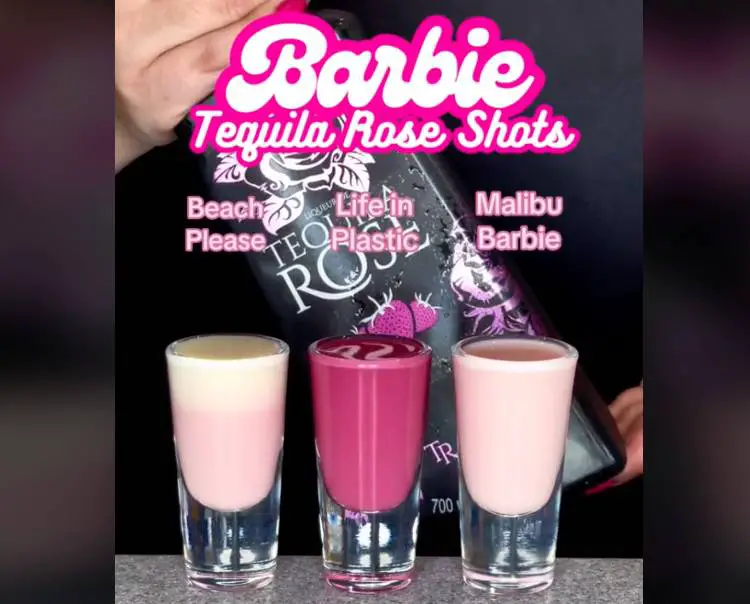3 Barbie Shot Recipes: Tequila Rose Cocktails For Pink Party